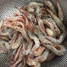 カリカリ絶品 O ガス海老の唐揚げ レシピ 作り方 By ちほみさ 楽天レシピ カリカリ絶品 O ガス海老の唐揚げ レシピ 作り方 By ちほみさ 楽天レシピ